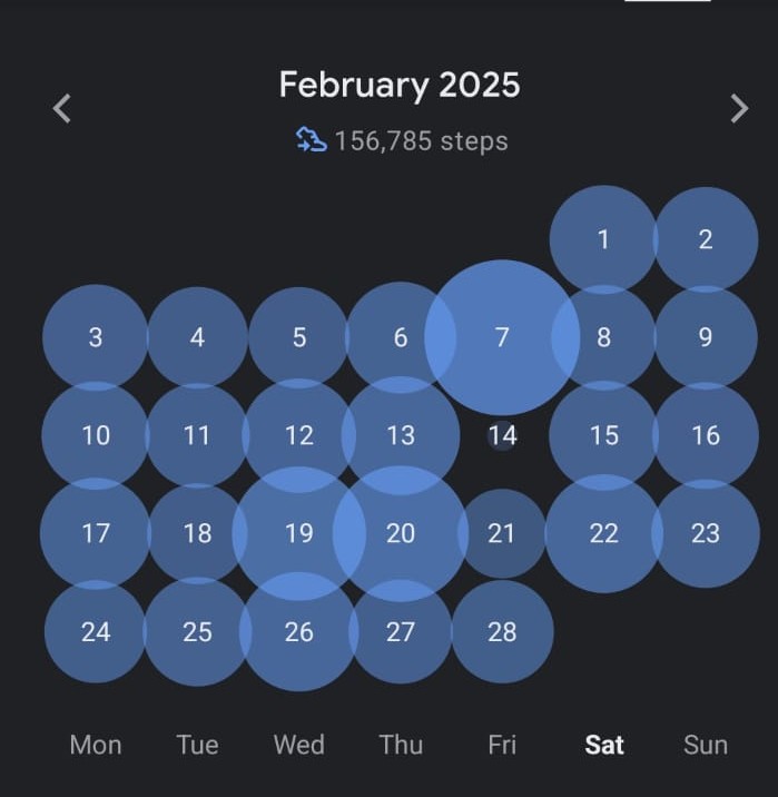 Total Steps for February 2024